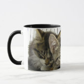 避難所の子ネコ マグカップ (左)