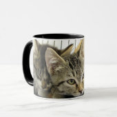 避難所の子ネコ マグカップ (正面左)