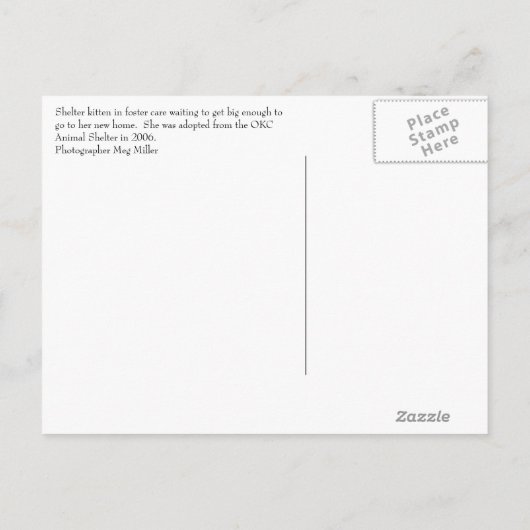 避難所の子ネコ 案内ポストカード (裏面)