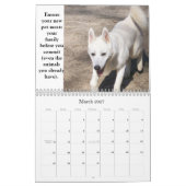 避難所動物のカレンダーを採用して下さい カレンダー (3月 2027)
