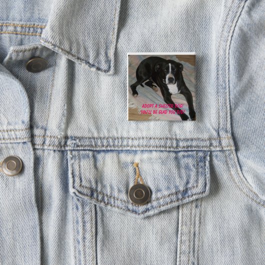 避難所犬を今日採用して下さい! 缶バッジ (インサイチュ)