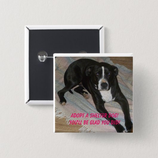 避難所犬を今日採用して下さい! 缶バッジ (正面&裏面)