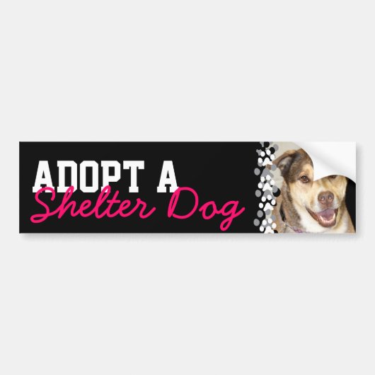 避難所犬を採用して下さい バンパーステッカー (正面)