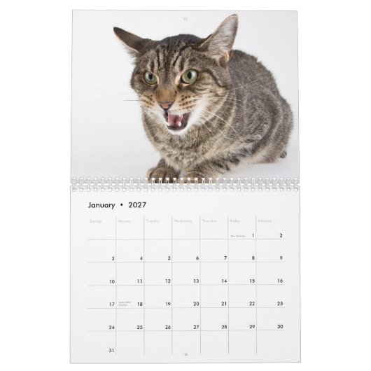 避難所猫のカットシーン カレンダー (1月 2027)