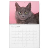 避難所猫のカットシーン カレンダー (2月 2027)