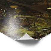 避難所 フォトプリント            (角)