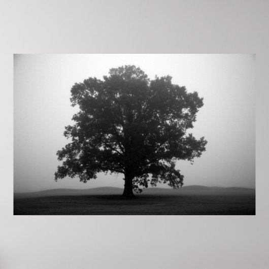 避難所 ポスター (正面)