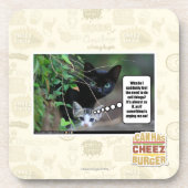 邪悪な事 コースター (正面)