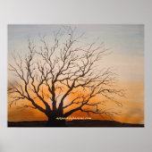 邪悪な木 ポスター (正面)