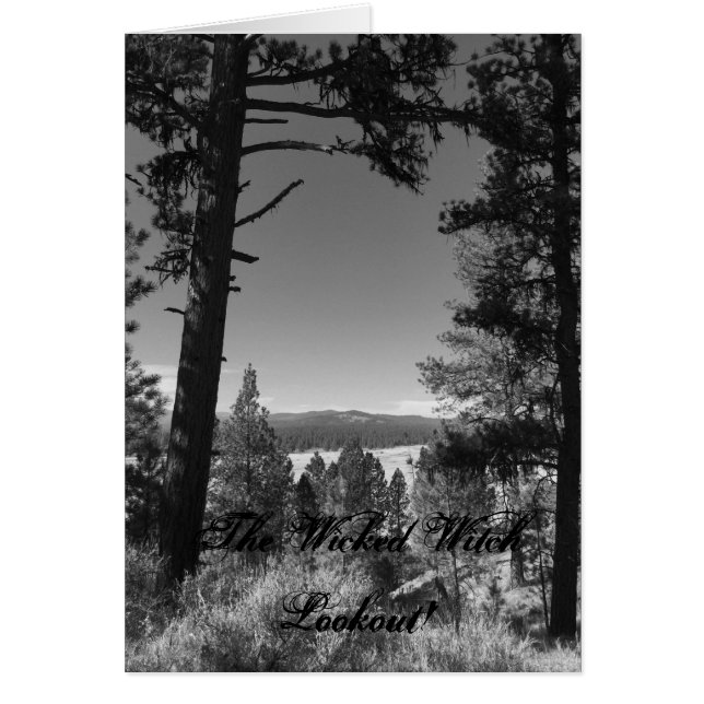 邪悪な魔女は外を見る (正面)