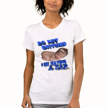 邪魔しないで、私は昼寝を持っている