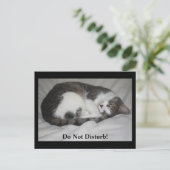 邪魔するな！ ポストカード (スタンド正面)