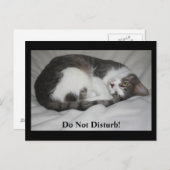 邪魔するな！ ポストカード (正面/裏面)