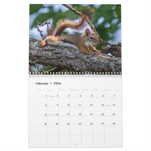 郊外の夏 カレンダー (2月 2026)