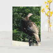 郊外ワイルドターキー カード (黄色い花)