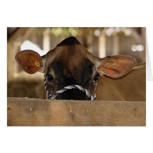 郡のフェアカード (正面横)