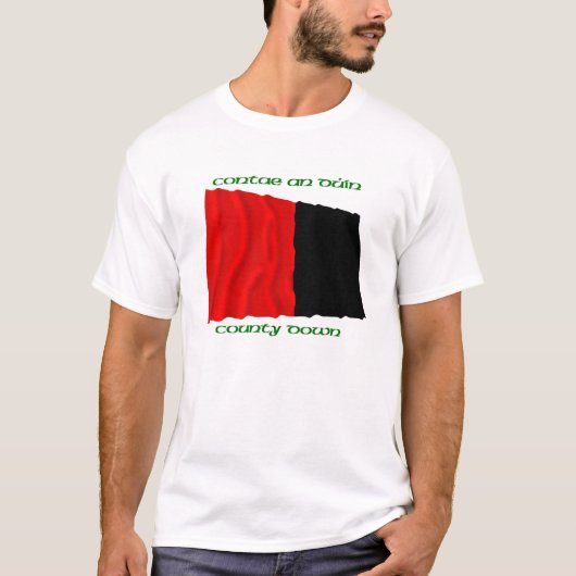 郡の下の色 Tシャツ (正面)