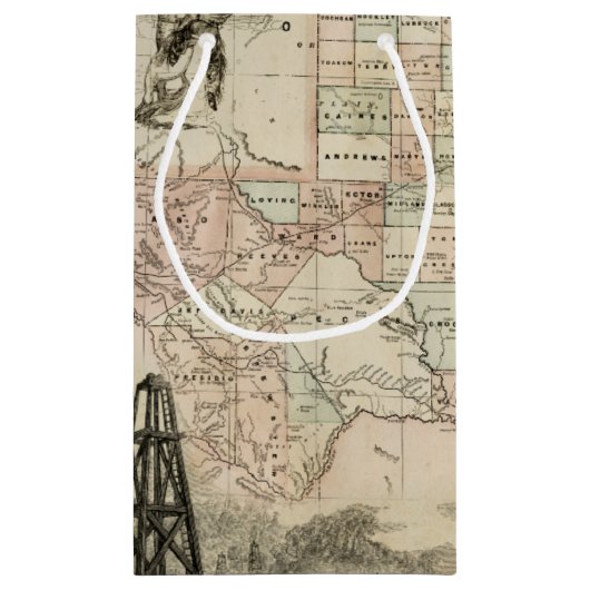 郡を持つテキサス州の縁ど地図 スモールペーパーバッグ (裏面)