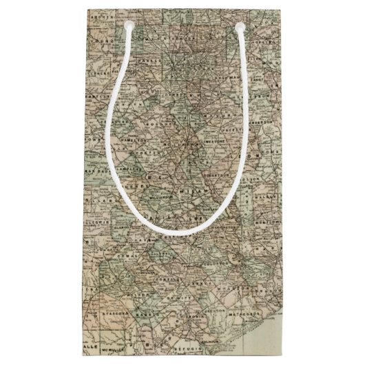 郡を持つテキサス州の縁ど地図 スモールペーパーバッグ (正面)