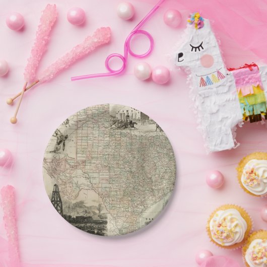 郡を持つテキサス州の縁ど地図 ペーパープレート (パーティー)