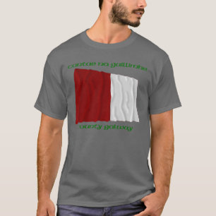 郡ガルウェイ色 Tシャツ