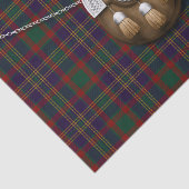 郡コルクのアイルランドのタータンチェックおよびSporran 薄葉紙 (詳細)
