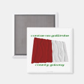 郡ゴールウェイカラー マグネット (正面/裏面)