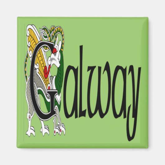 郡ゴールウェイ磁石 マグネット (正面)