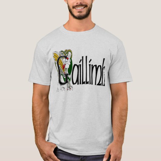 郡ゴールウェイ(ゲール語) Tシャツ (正面)