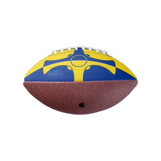 郡ダラム、イギリスのの旗小型フットボール アメリカンフットボール (回転270)