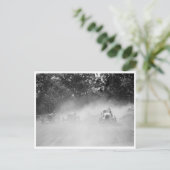 郡フェアダートトラックレース ポストカード (スタンド正面)