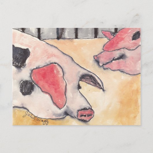 郡市の豚 ポストカード (正面)