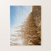 部分的に収穫されたトウモロコシ畑 ジグソーパズル (縦)