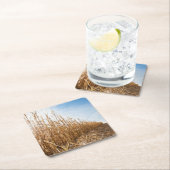 部分的に収穫されたトウモロコシ畑 スクエアペーパーコースター (インサイチュ)