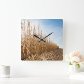 部分的に収穫されたトウモロコシ畑 スクエア壁時計 (ホーム)