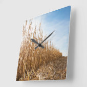 部分的に収穫されたトウモロコシ畑 スクエア壁時計 (傾斜)