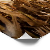 部分的に収穫されたトウモロコシ畑 ポスター (コーナー)