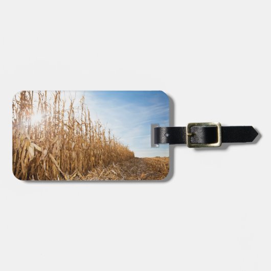 部分的に収穫されたトウモロコシ畑 ラゲッジタグ (正面横)