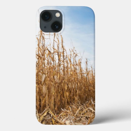 部分的に収穫されたトウモロコシ畑 Case-Mate iPhoneケース (裏面)