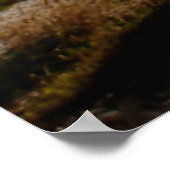 部分的に開いたシャツ(ビーチ背景) ポスター (角)