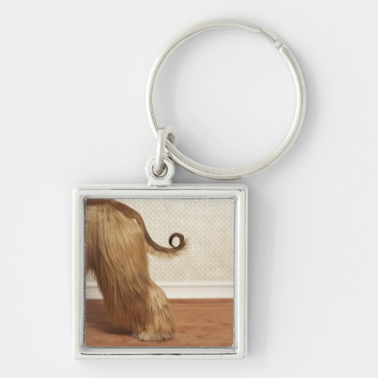 部屋、端セクションに立っているアフガンハウンド キーホルダー (正面)