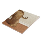 部屋、端セクションに立っているアフガンハウンド タイル (側面)