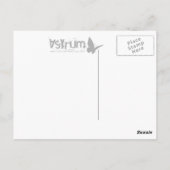 部族のバレーボール ポストカード (裏面)