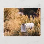 郵便が届くのを待つ ポストカード (正面)