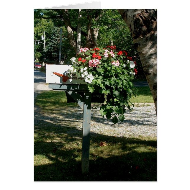 郵便で花 (正面)