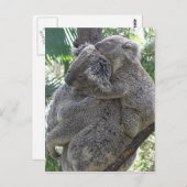 郵便はがきのコアラQLDオーストラリア ポストカード (正面/裏面)