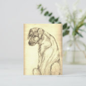 郵便はがきを見ているアイリッシュ・ウルフハウンドの子犬 ポストカード (スタンド正面)