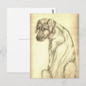 郵便はがきを見ているアイリッシュ・ウルフハウンドの子犬 ポストカード (正面/裏面)