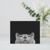 -郵便はがきを調べること ポストカード (スタンド正面)