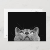 -郵便はがきを調べること ポストカード (正面/裏面)